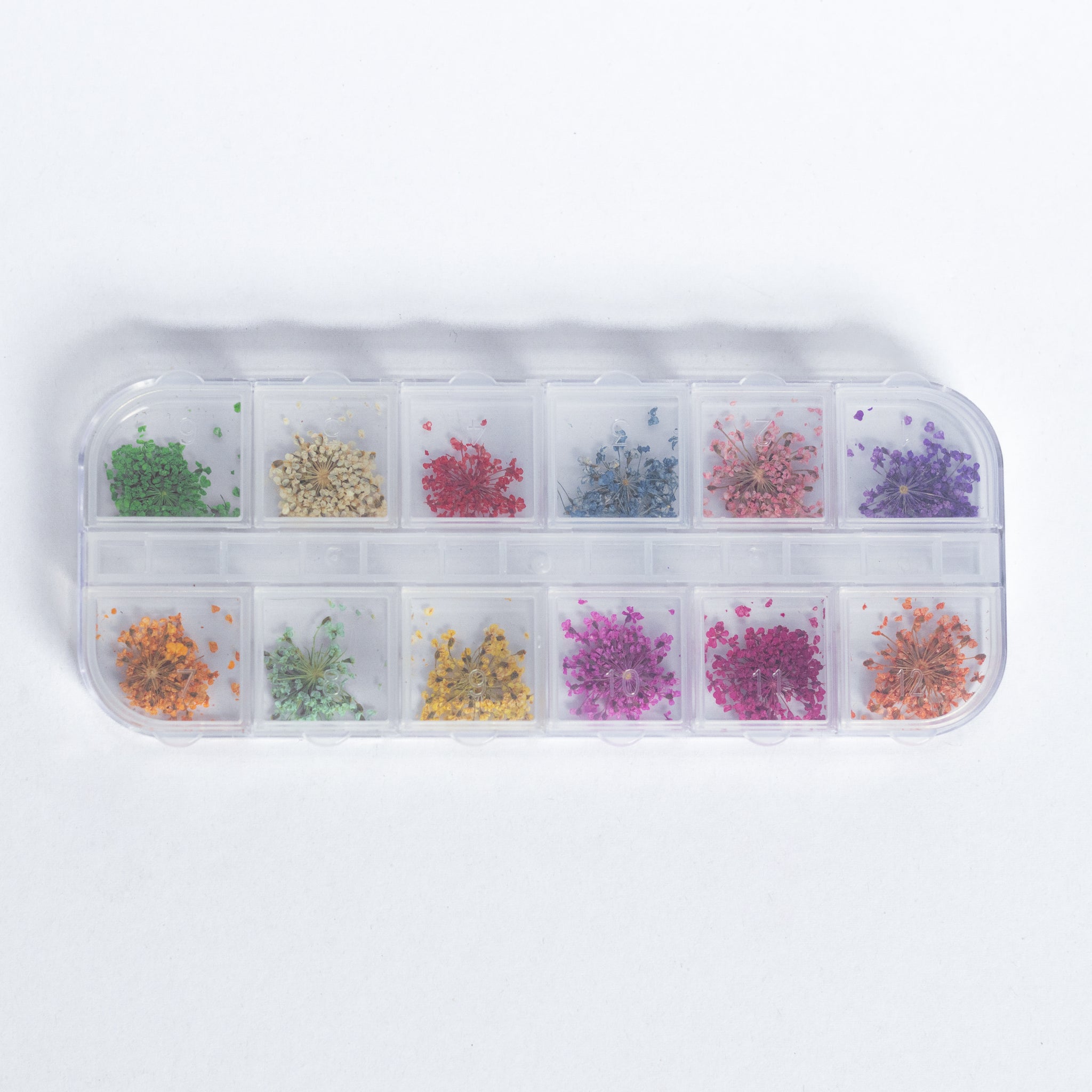 Dried Flowers