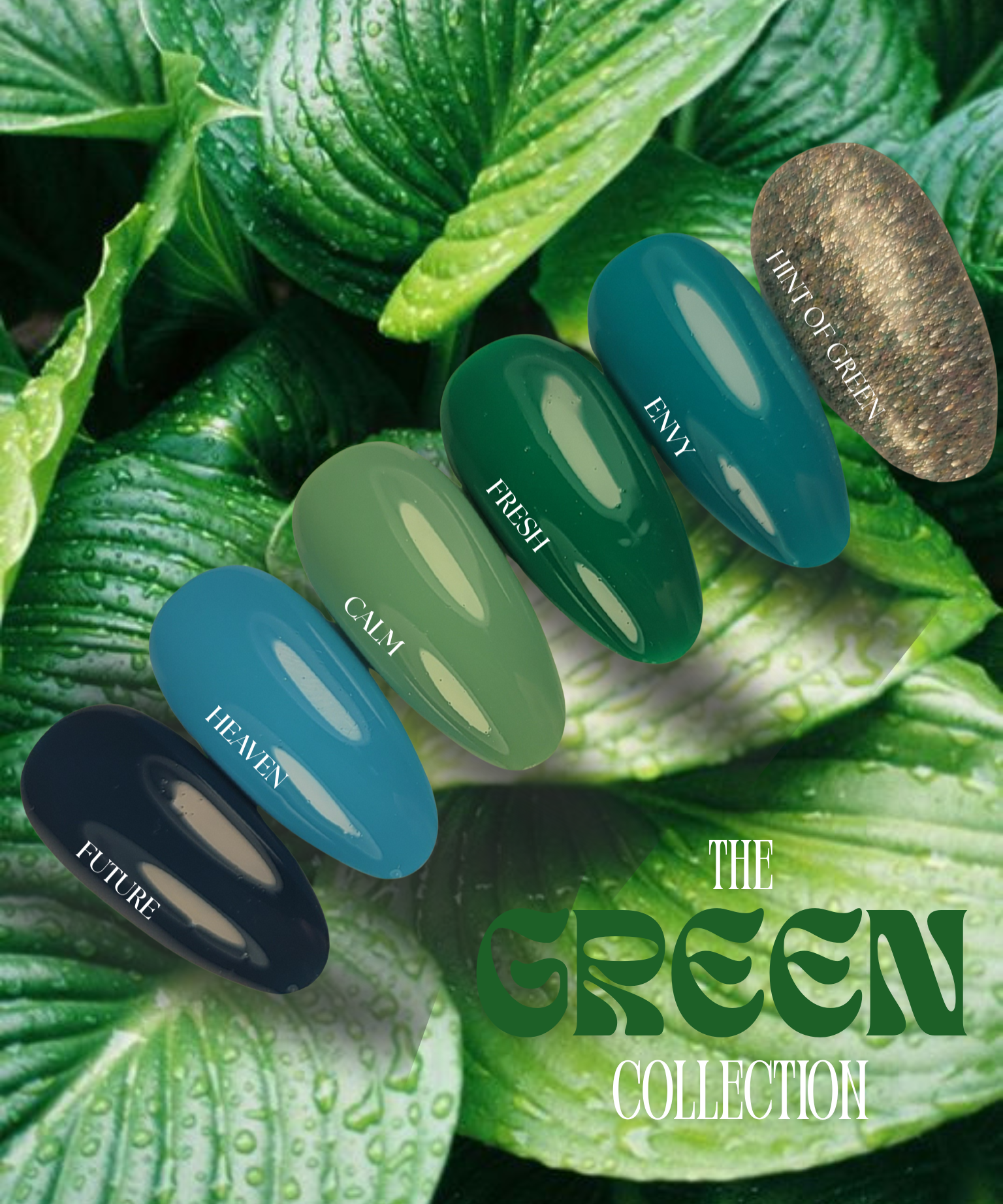 GREEN_COLLECTION.png