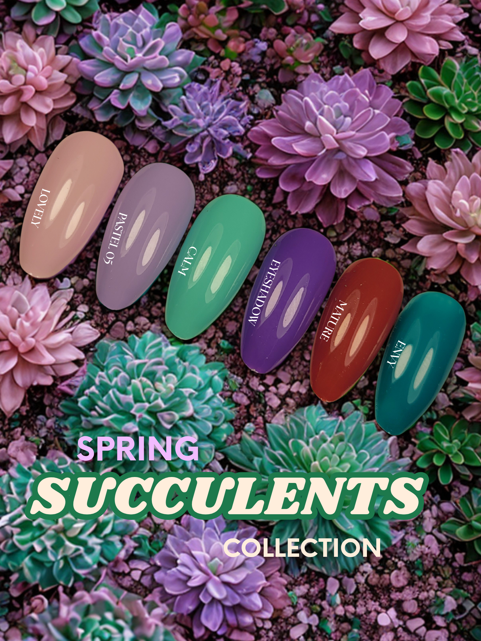 NFS Spring Succulents Collection