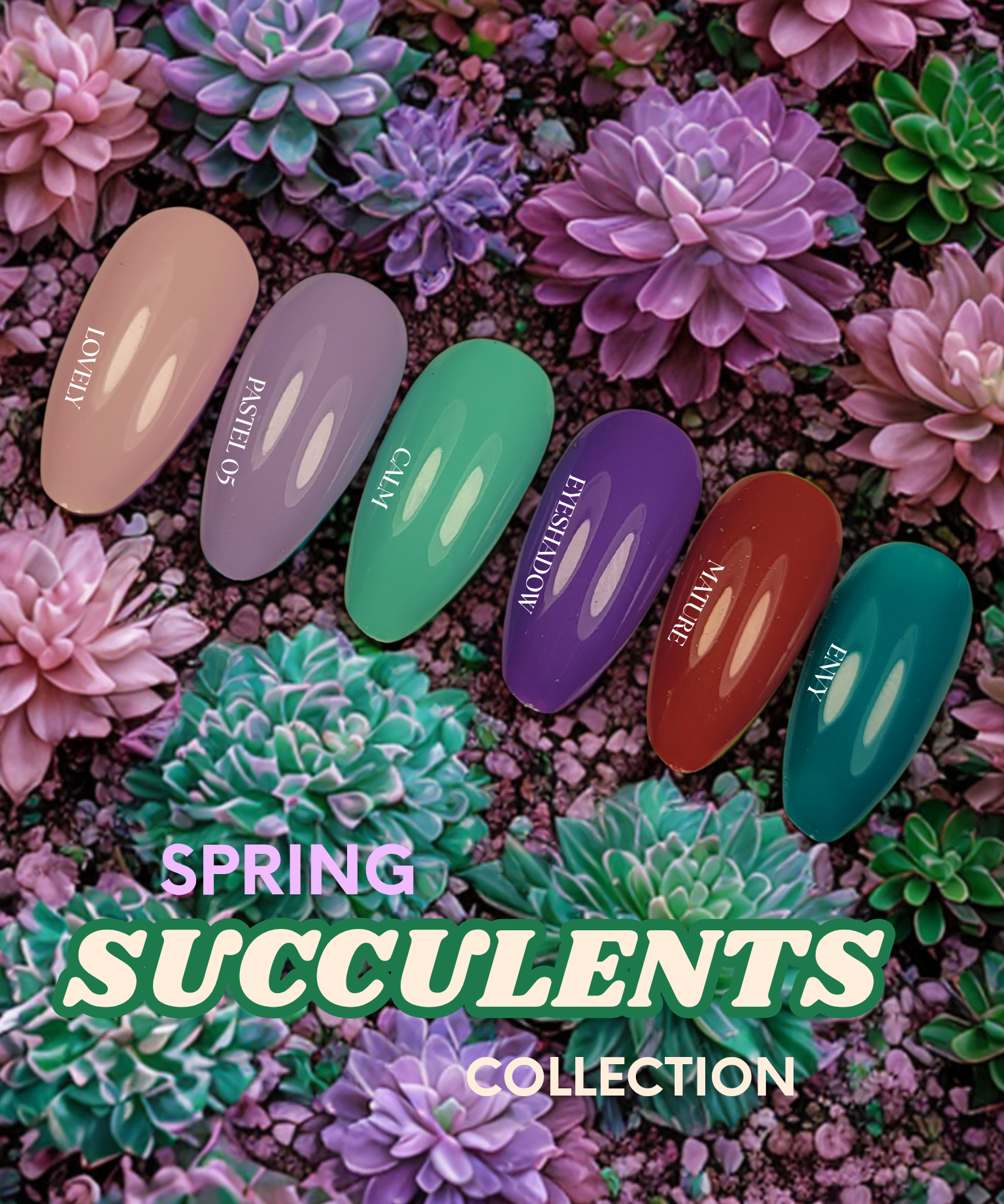 SPRING_SUCCULENT_COLLECTION.png