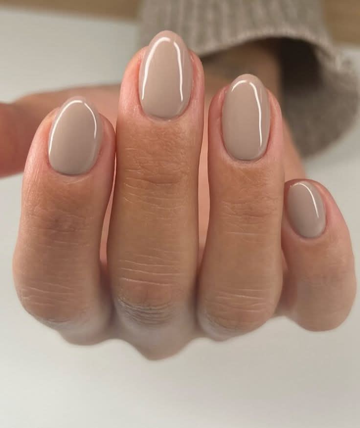 Beginner Gel Polish + Nail Anatomy Course - In Person Training Forrest Hill, Auckland - Nails Factor Supplies