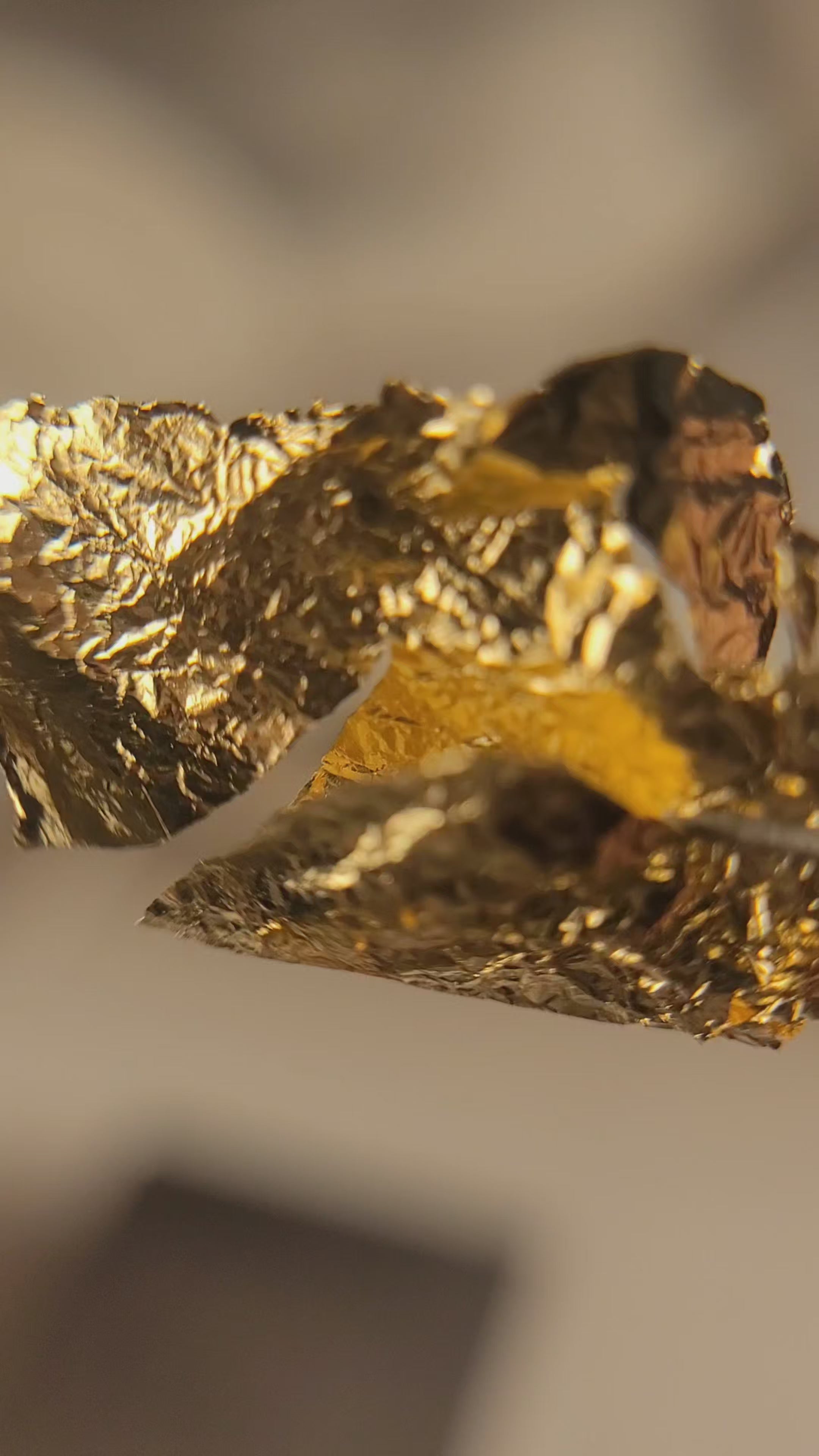 Transfer Foil Gel Clear (Brush On) - 15ml