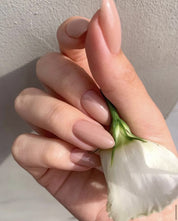 Sheer Nude 02 - 10ml AUD - Nails Factor Supplies
