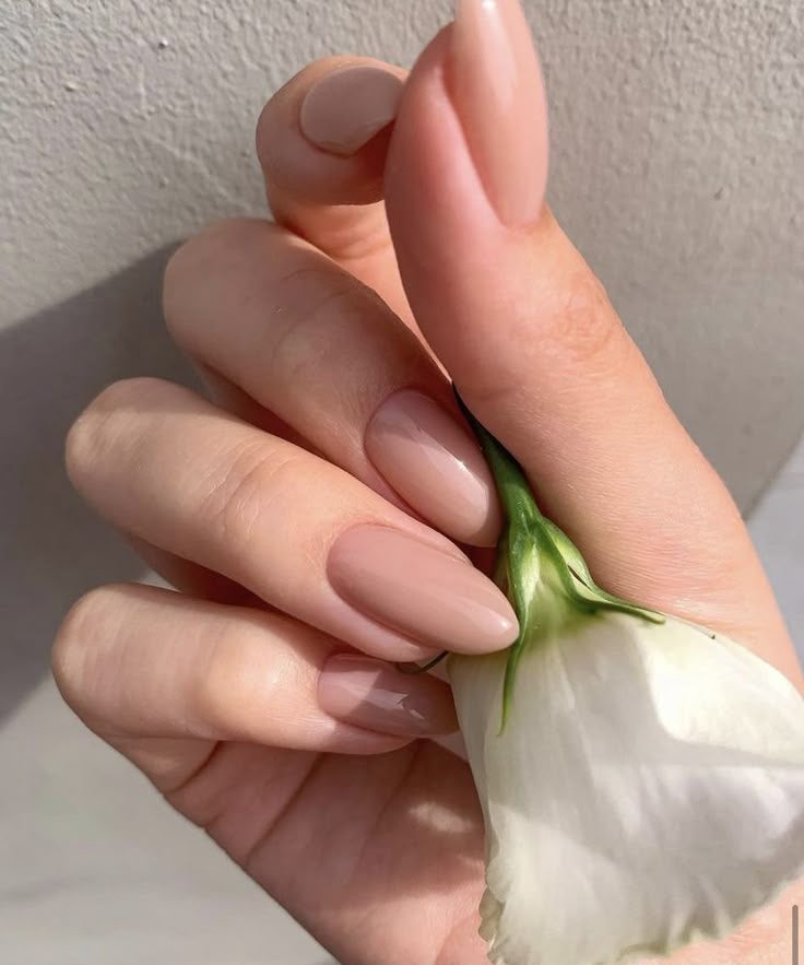 Sheer Nude 02 - 10ml AUD - Nails Factor Supplies