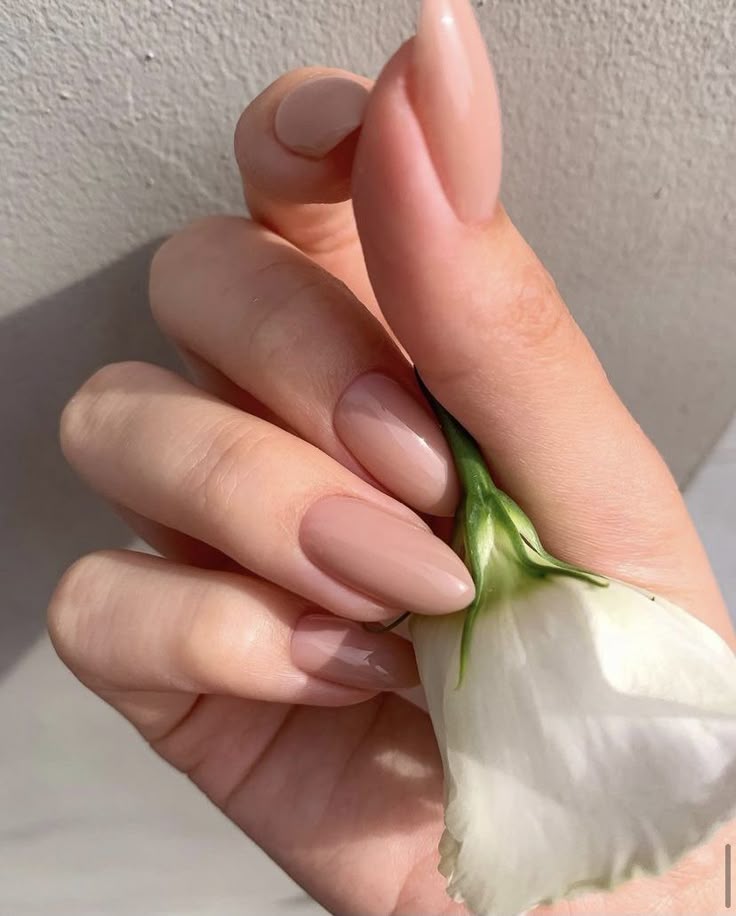 Sheer Nude 02 - 10ml AUD - Nails Factor Supplies