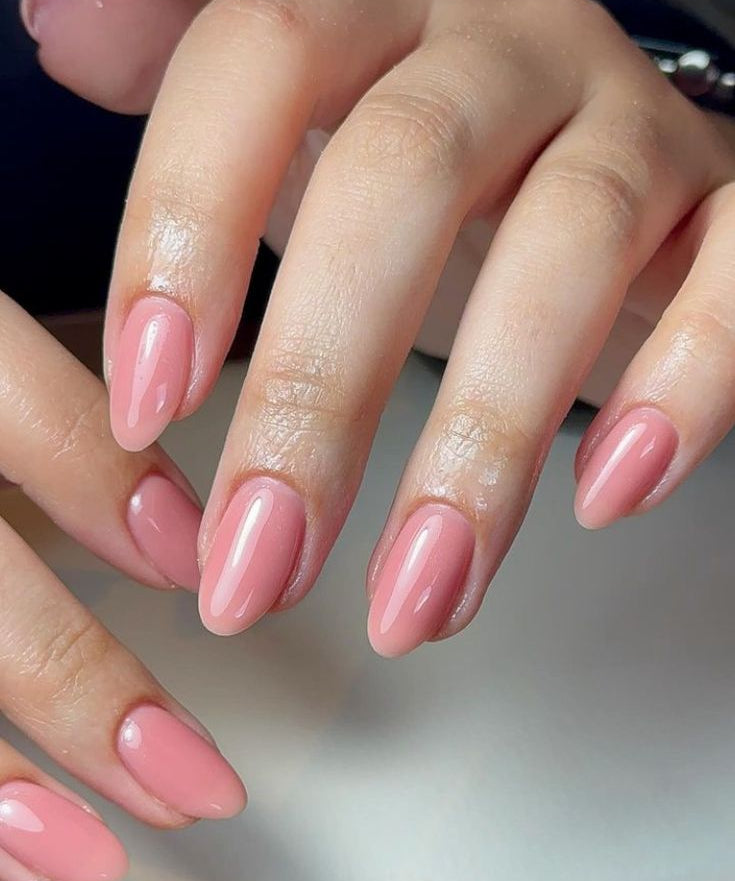 Sheer Nude 04 - 10ml AUD - Nails Factor Supplies