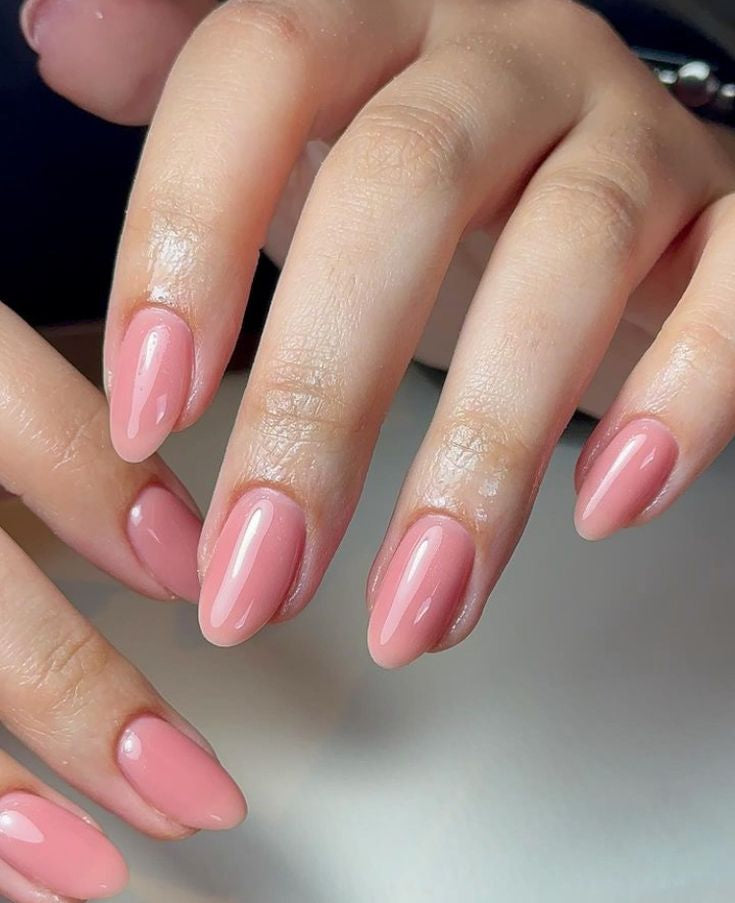 Sheer Nude 04 - 10ml AUD - Nails Factor Supplies