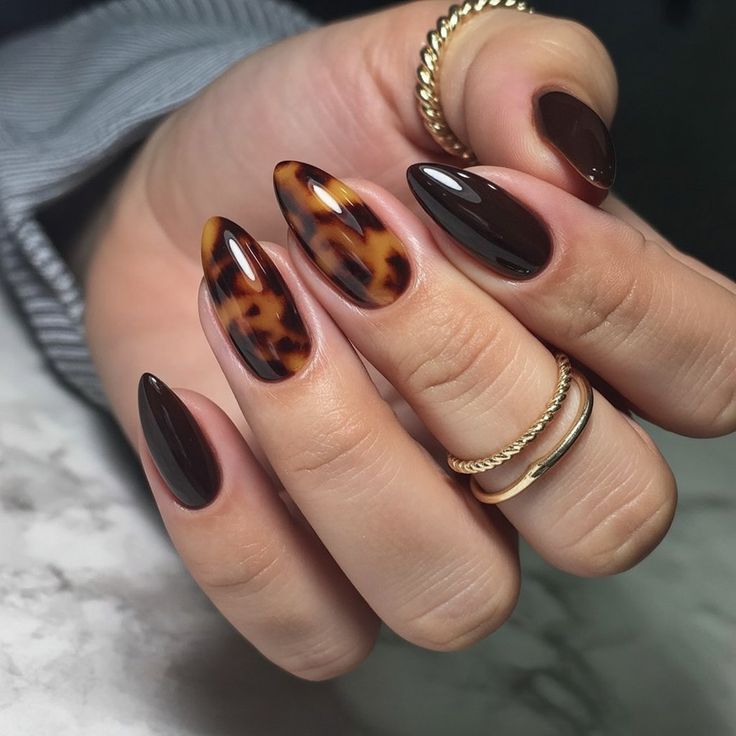 Tortoise shell nails bundle - Nails Factor Supplies